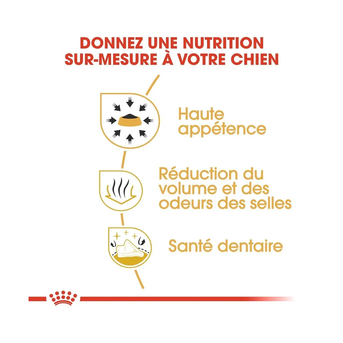 Royal Canin Chihuahua Adult 1,5 Kg – Image 3